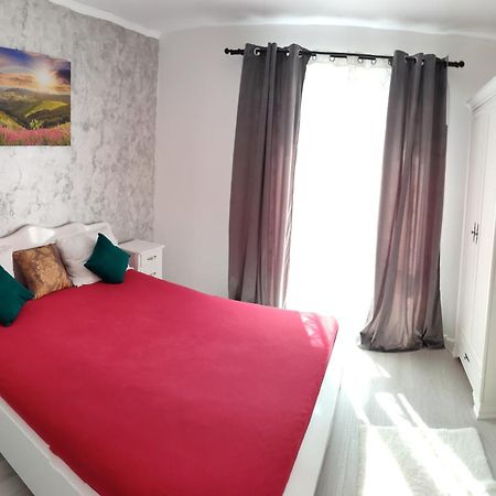 Apartament Gabriela Baia Mare Buitenkant foto