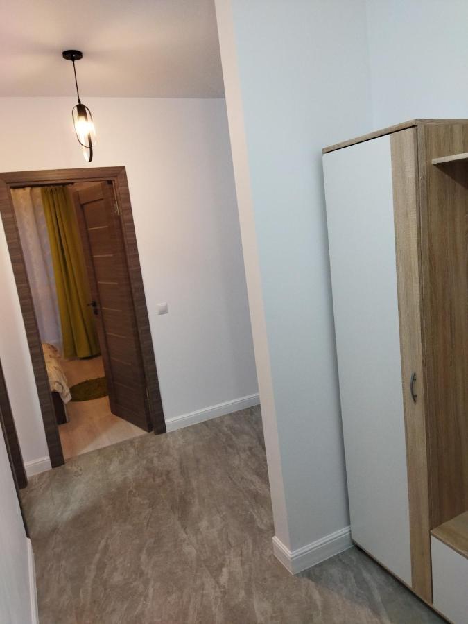 Apartament Gabriela Baia Mare Buitenkant foto