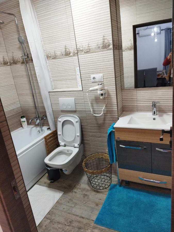 Apartament Gabriela Baia Mare Buitenkant foto