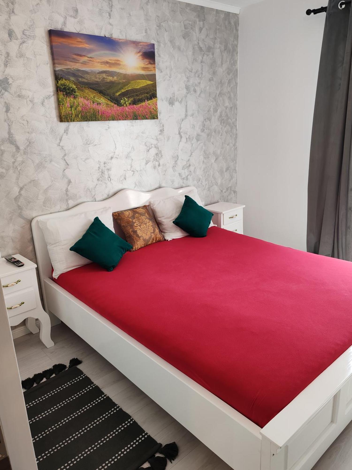Apartament Gabriela Baia Mare Buitenkant foto